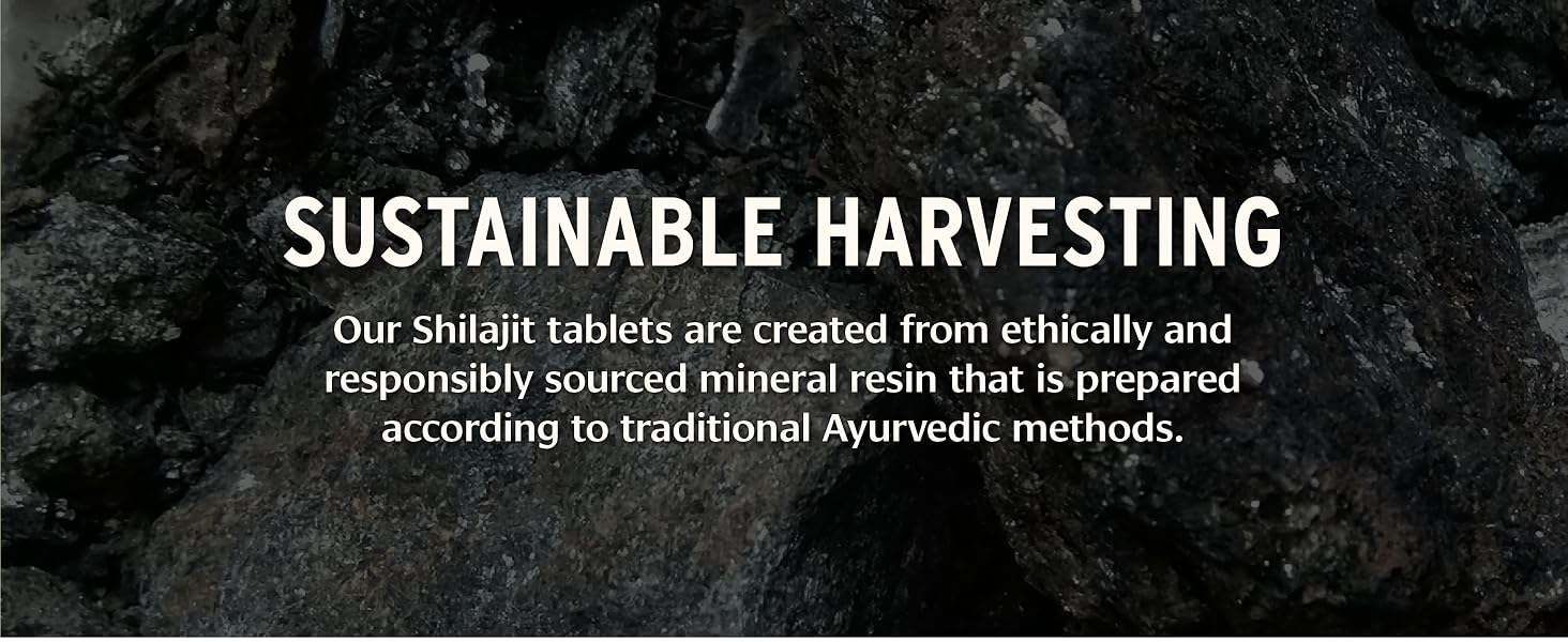 Shilajit, mineral pitch for healthy aging