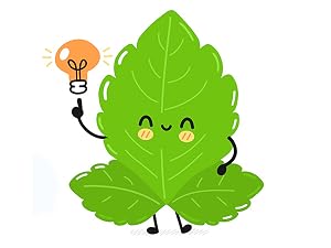 Enzo Stevia Leafs Brain
