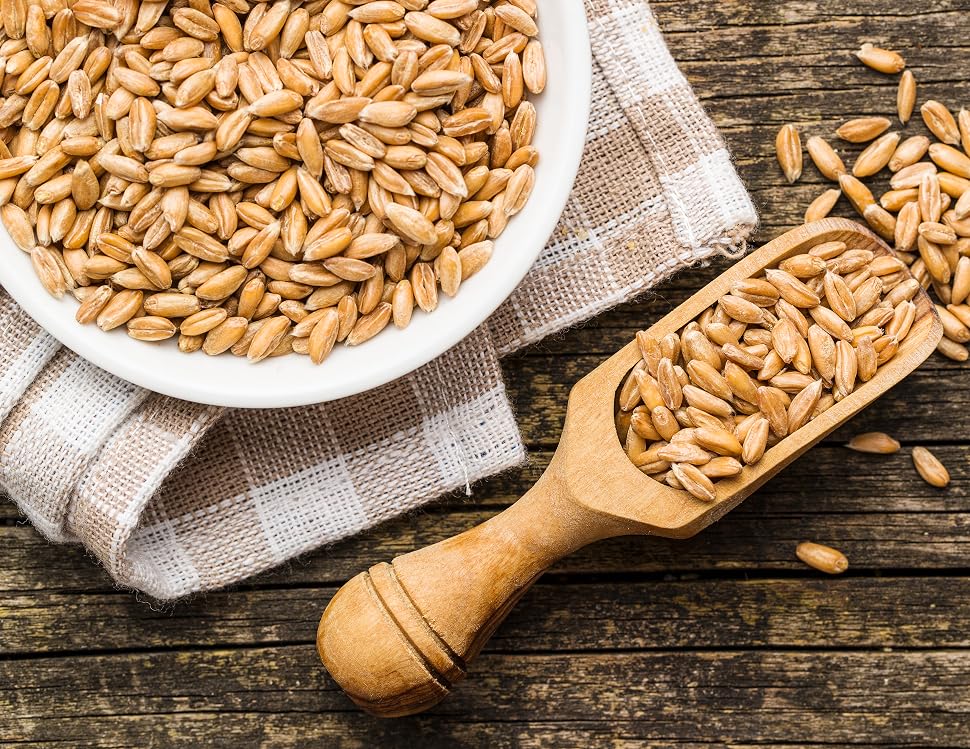 Spelt Wheat Berries