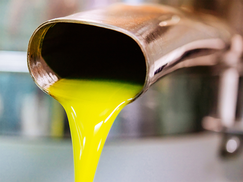 ROI Cucina Olive Oil High In Polyphenols Polyphenol Rich Olive Oil From Liguria Italy Olives