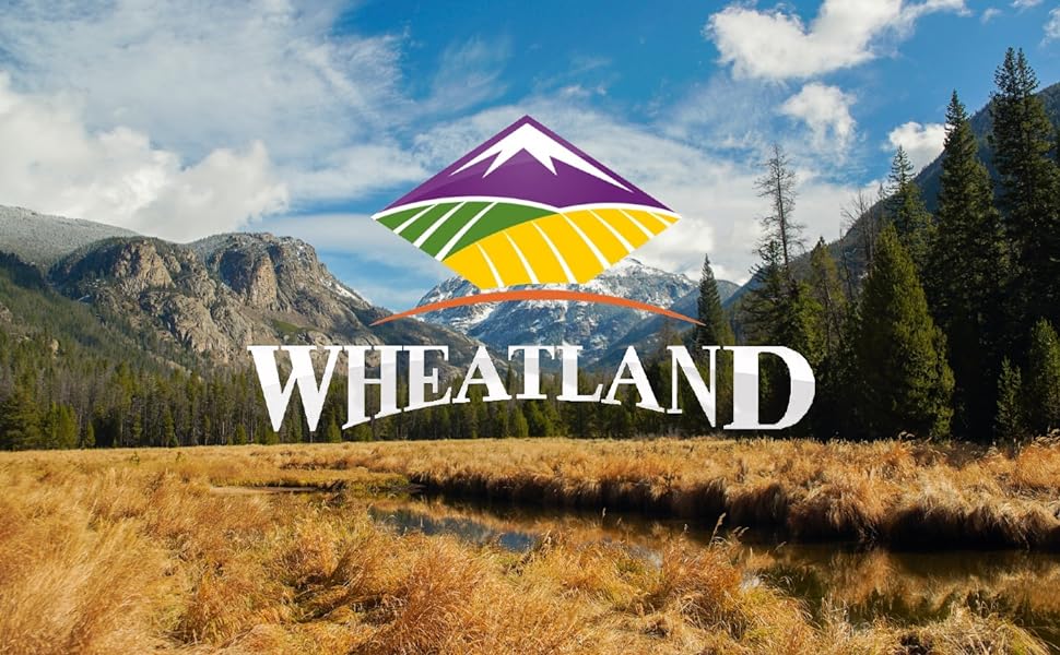 Wheatland, Idaho, Utah, USA, food, wheat berries
