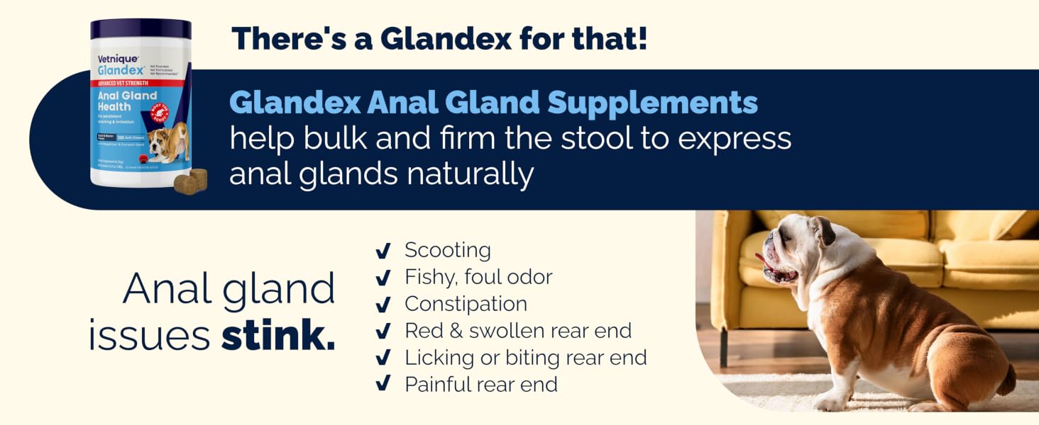 Vetnique Glandex soft chews for dog scooting, fishy odor, and anal gland issues