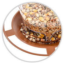 Bird feeder birds feeder bird feeders bird feeder for outside bird feeders for outside