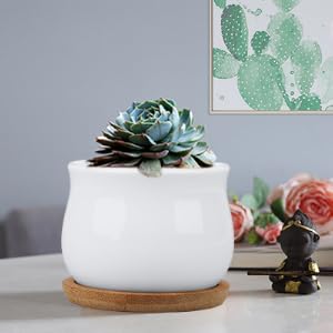 pots