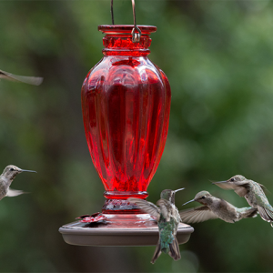 Perky-Pet Daisy Vase Vintage Glass Hummingbird Feeder