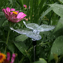 ‎Garden, Pathway