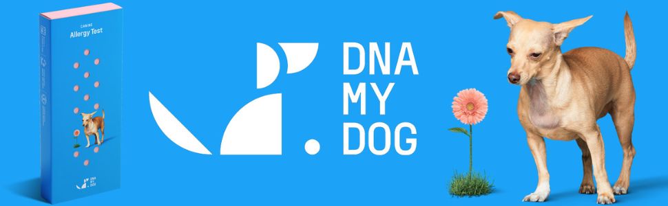 DNA My Dog Dog Canine Allergy Test
