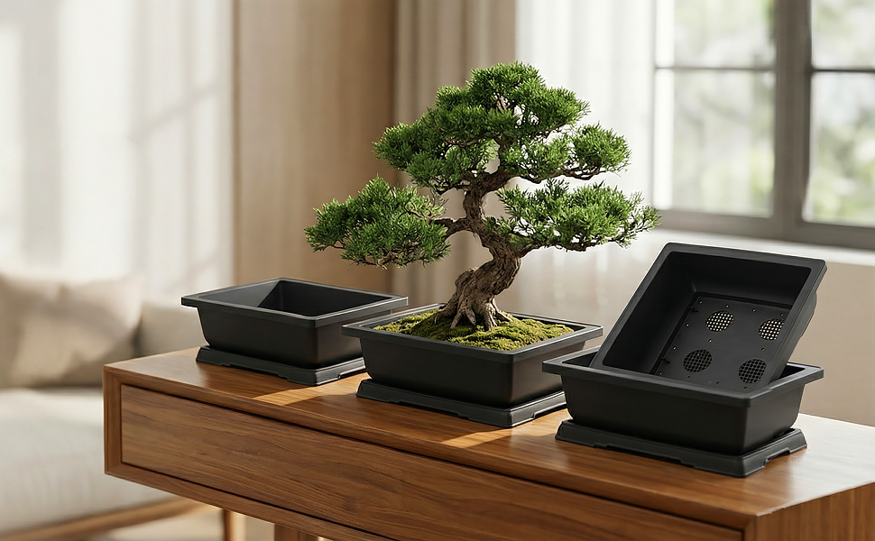 14 inch Bonsai pot