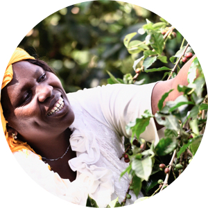 Fairtrade, Kicking Horse Coffee