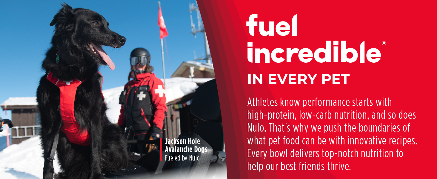 Image of dog with harness with text reading fuel incredible in every pet.
