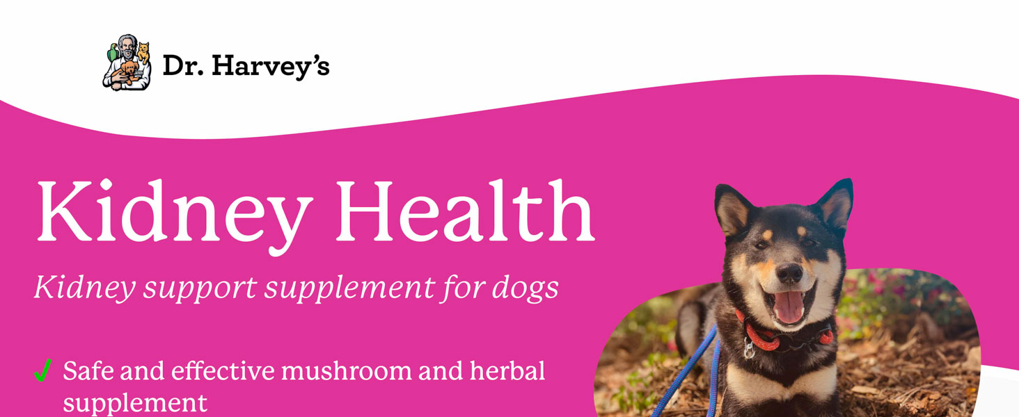 dr harveys kidney health support supplement for dogs herbal mushroom supplement natural immune