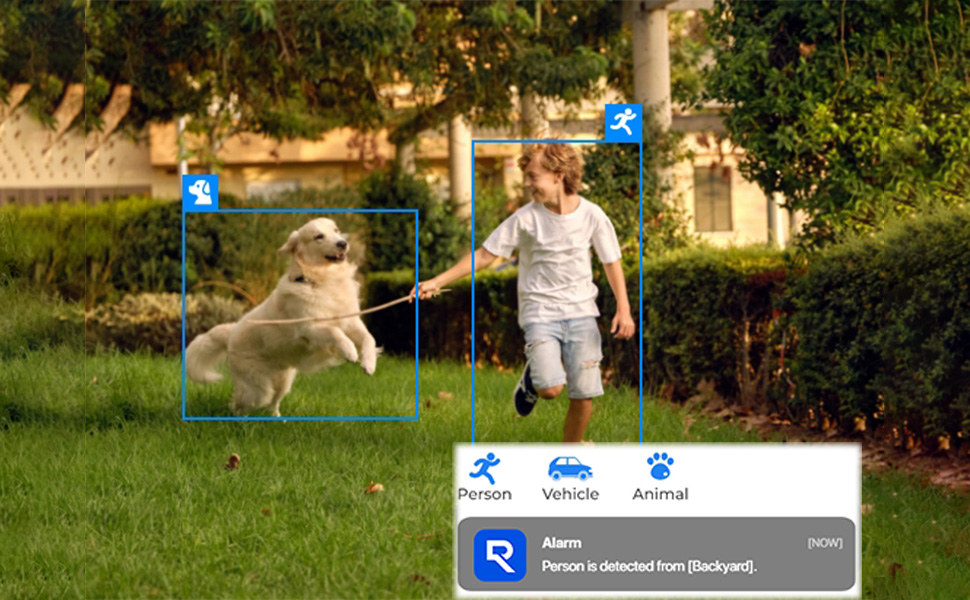 Smart Detection