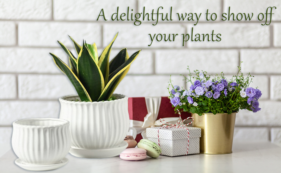Ceramic Flower Plant Pots with Saucer