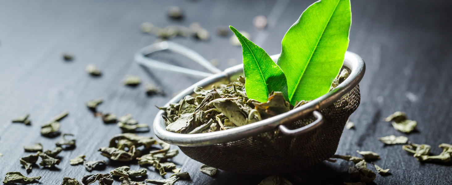 Green tea extract