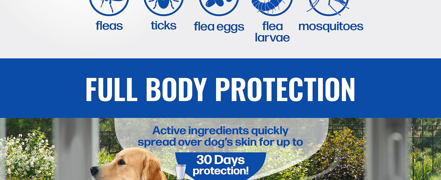 Full Body Protection
