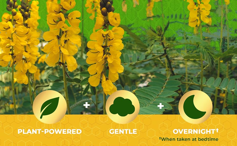 Plant Powered, Gentle, Overnight