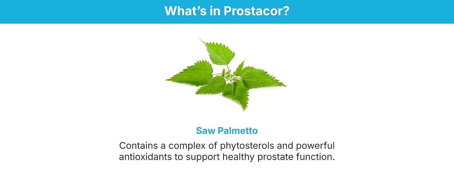 Saw Palmetto