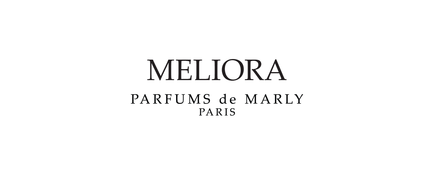 Meliora Banner Logo