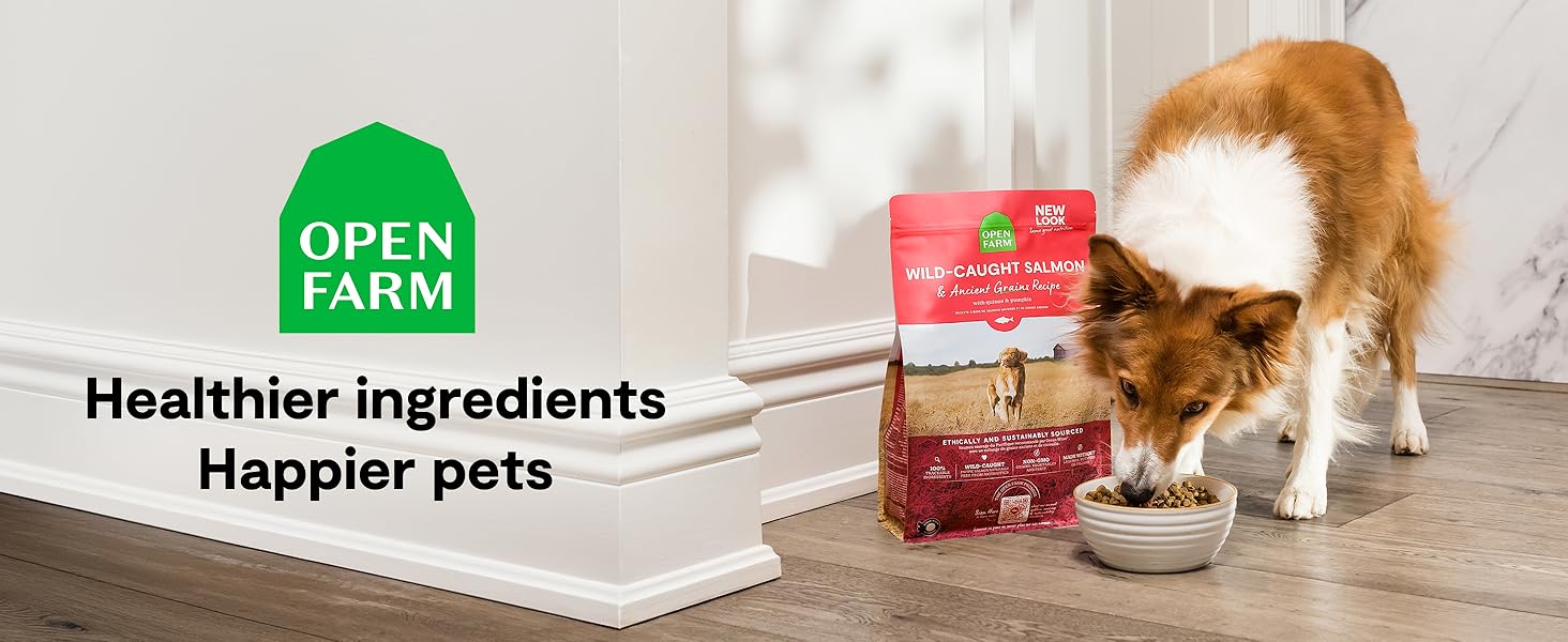 Ancient Grains Dry Dog Food Healthy Grain-Inclusive Complete &amp;amp; Balanced Diet