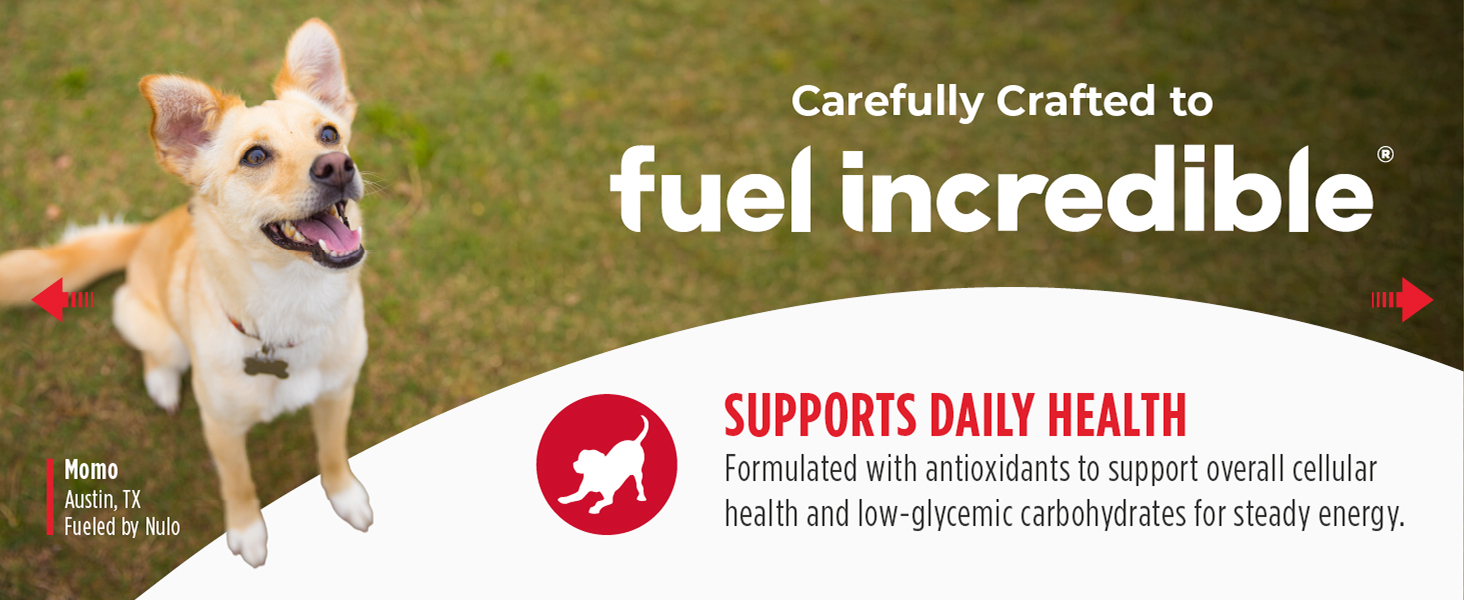 Image of dog with text reading supports daily health.