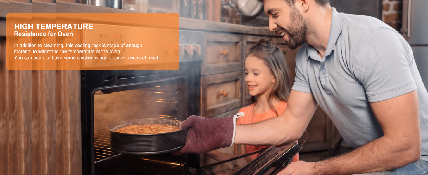HIGH TEMPERATURE RESISTANCE FOR OVEN