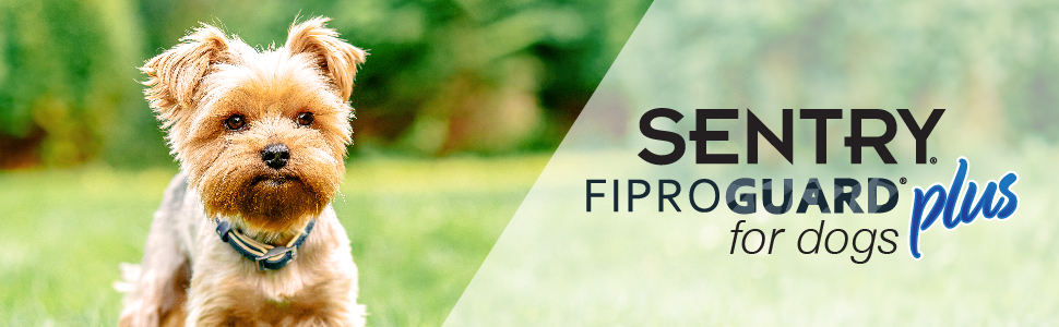 Fiproguard Small dog