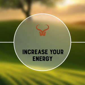 Immune System Booster