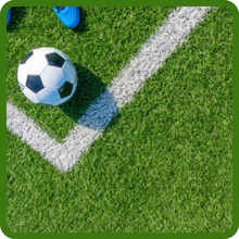 Wear Tolerant Perennial Rye Grass Lawn Seed