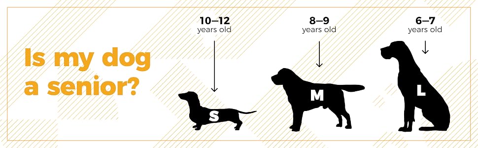 senior canine vision supplement
