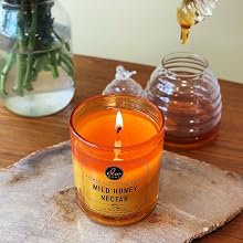 DW Home wild honey nectar scented candle with clean burning cotton wick and warm amber glass jar