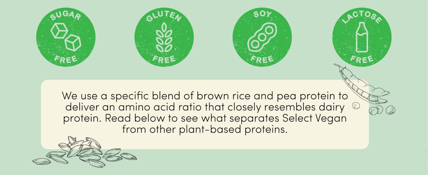 vegan protein plant based protein shakes lactose free pea rice complete hemp
