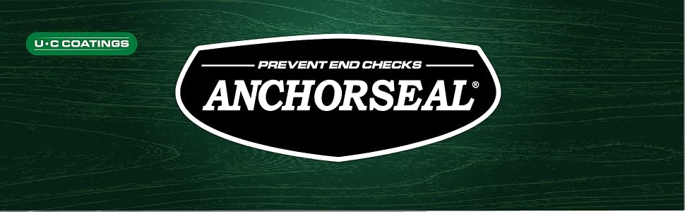 Image banner of green background with text reading anchorseal.