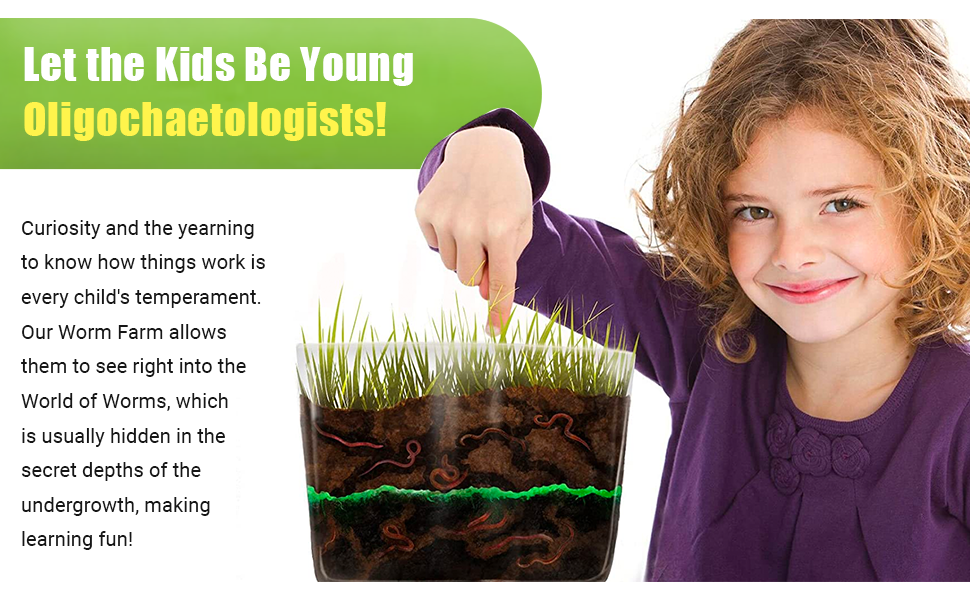 oligochaetologists curiosity and learning with your worm farm