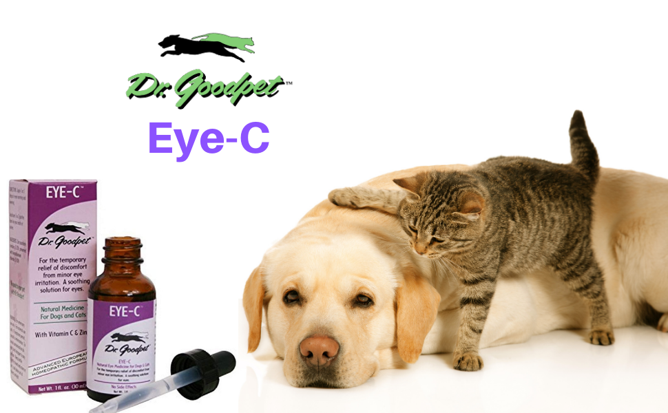 dog eye care, pets