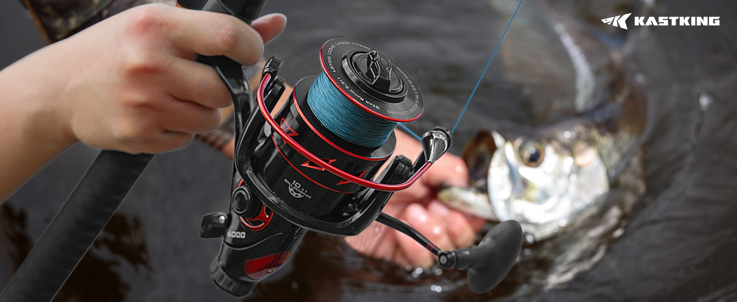 Spinning Reel