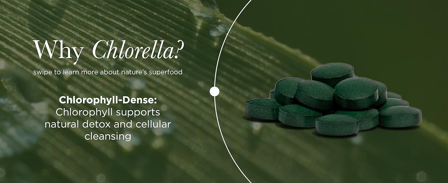 chlorella 1