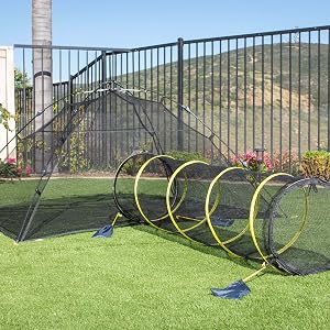 kitty compound