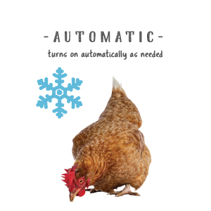 automatic turns on automatically as needed cold hot chicken bird drinking water