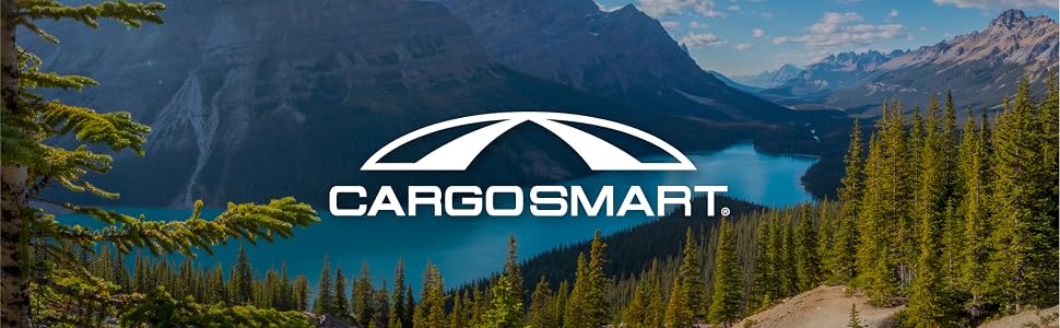 cargo smart