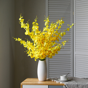 yellow orchid