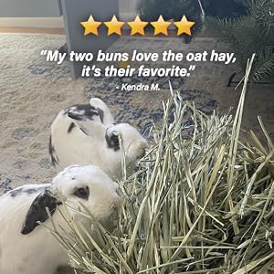 Five stars - my buns love the oat hay; it's their favorite!