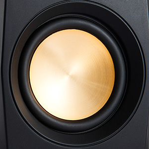BT30