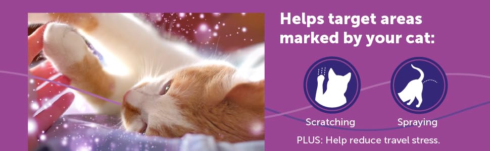 Feliway_Classic Spray_Banner4