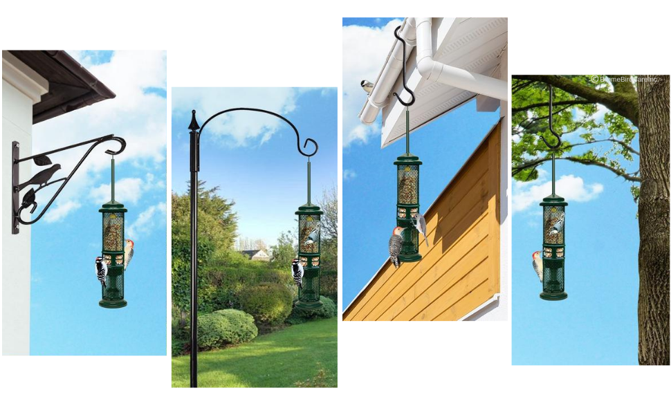 feeder placement