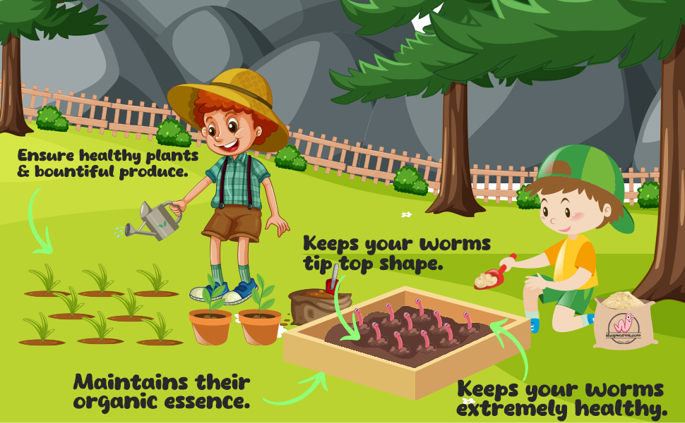 bulk crushed wiglers enrich powder plant soil amendments vegetables flour gardening vermiculture