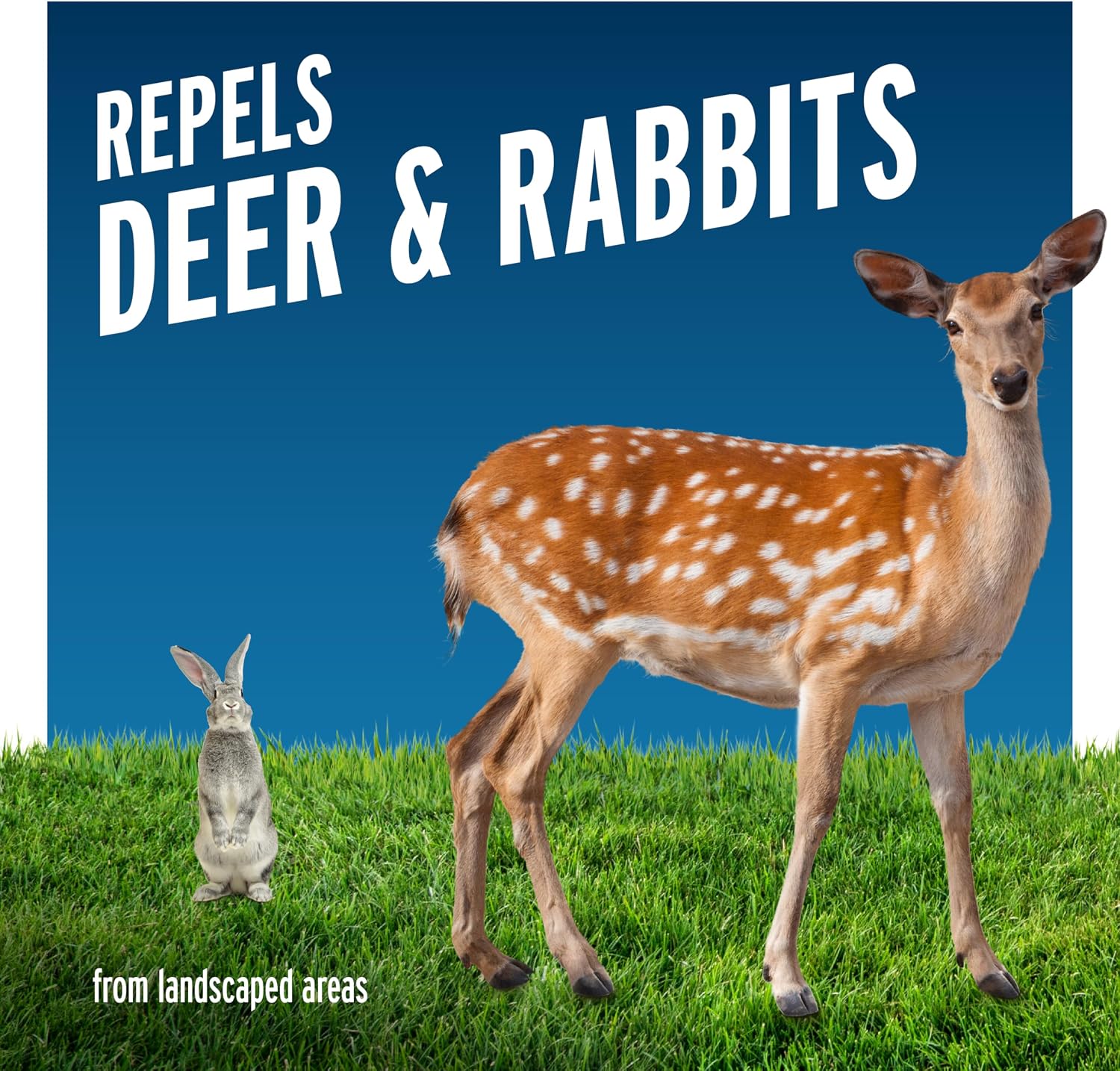Liquid Fence Deer And Rabbit Repellent Granular 2 Pounds, Apply Year-Round