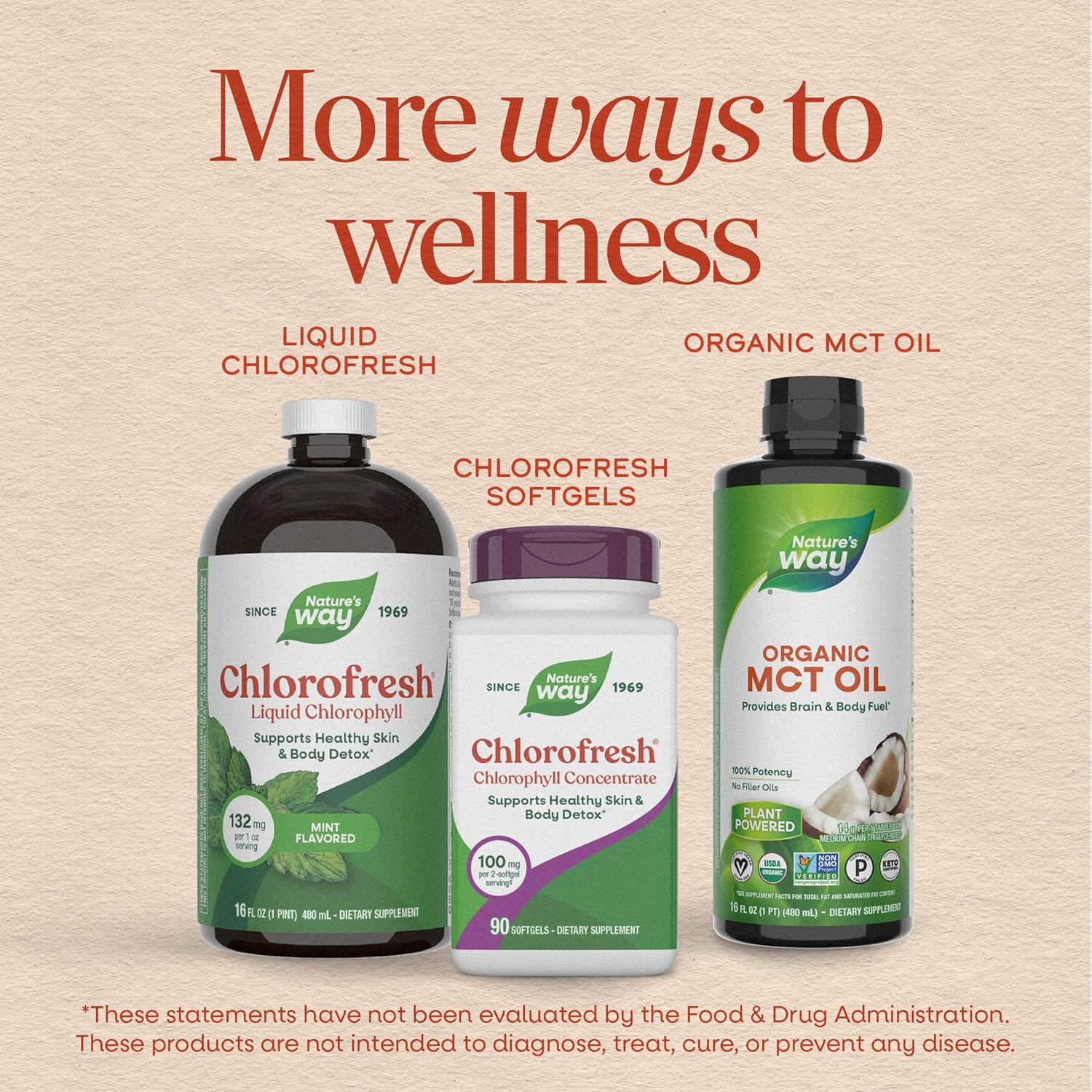 Nature's Way Chlorofresh Liquid Chlorophyll, Chlorophyllin Copper Complex, Internal Deodorant Supplement, Supports Healthy Skin and Detox Pathways*
