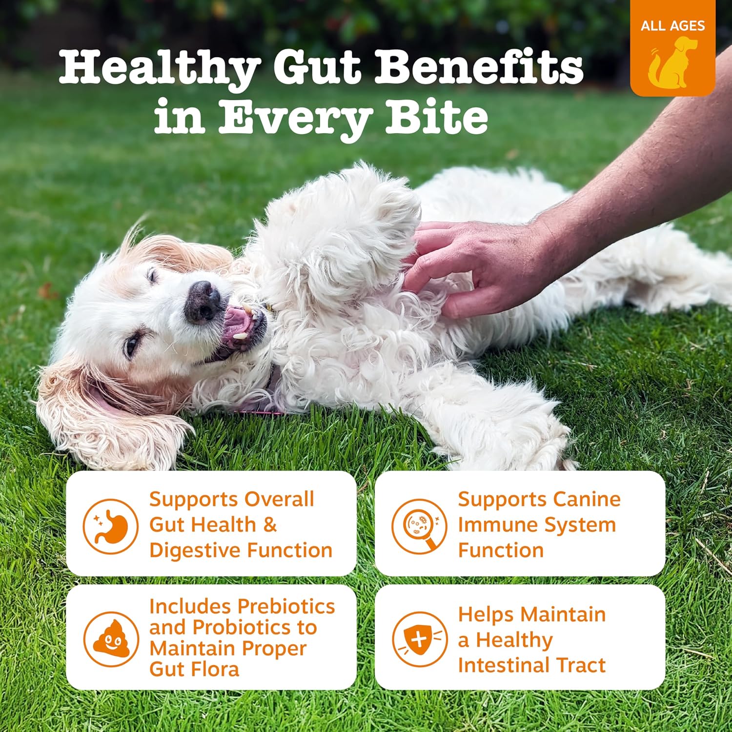 Zesty Paws Probiotics for Dogs - Digestive Enzymes for Gut Flora, Digestive Health, Diarrhea & Bowel Support - Clinically Studied DE111 - Dog Supplement Soft Chew for Pet Immune System - Pumpkin, 90ct