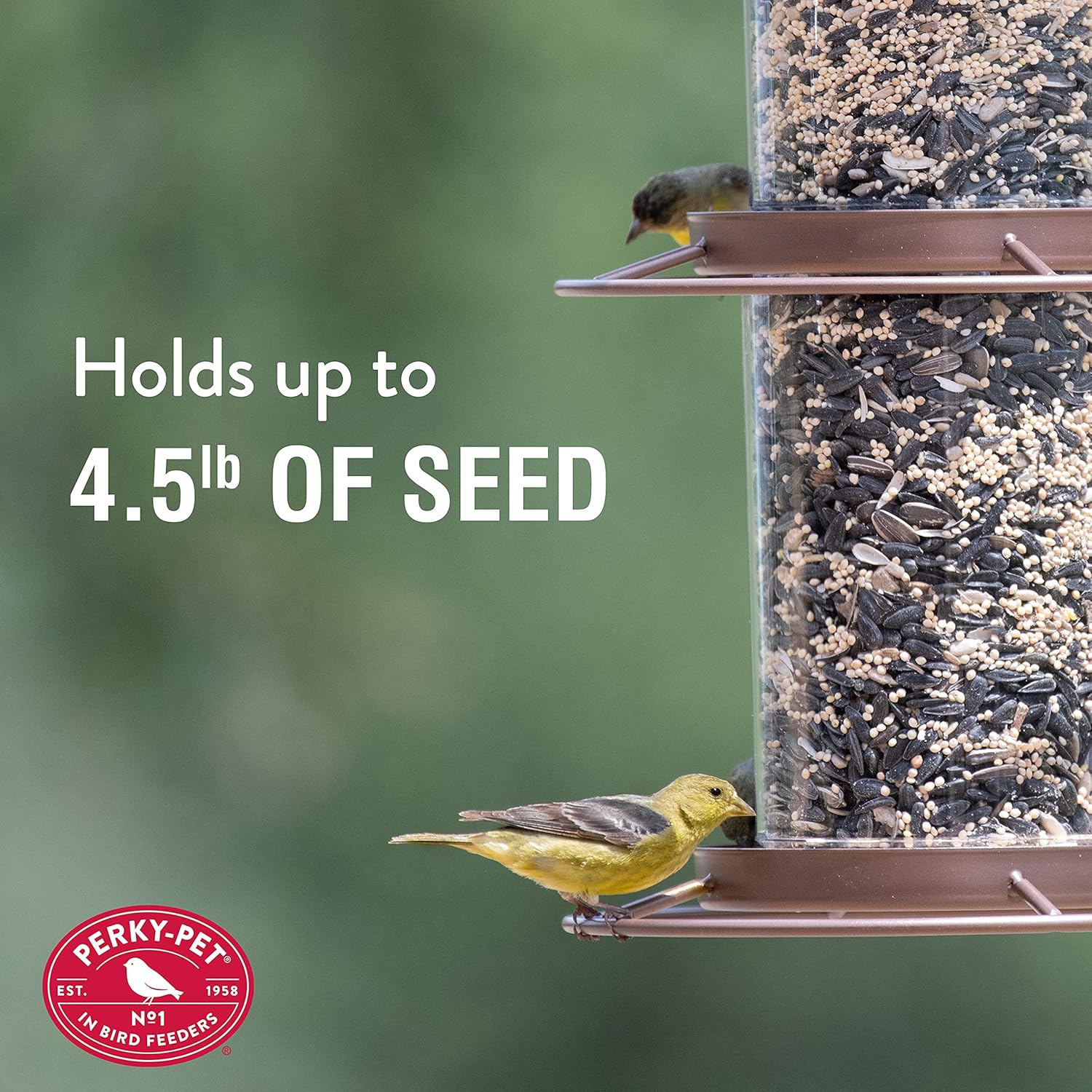 Perky-Pet Large 2-Tier Panorama Wild Bird Outdoor Feeder with Hanging Hook - 325SCOMBO-1SR - 4.5 lb Seed Capacity - Durable Construction - Versatile