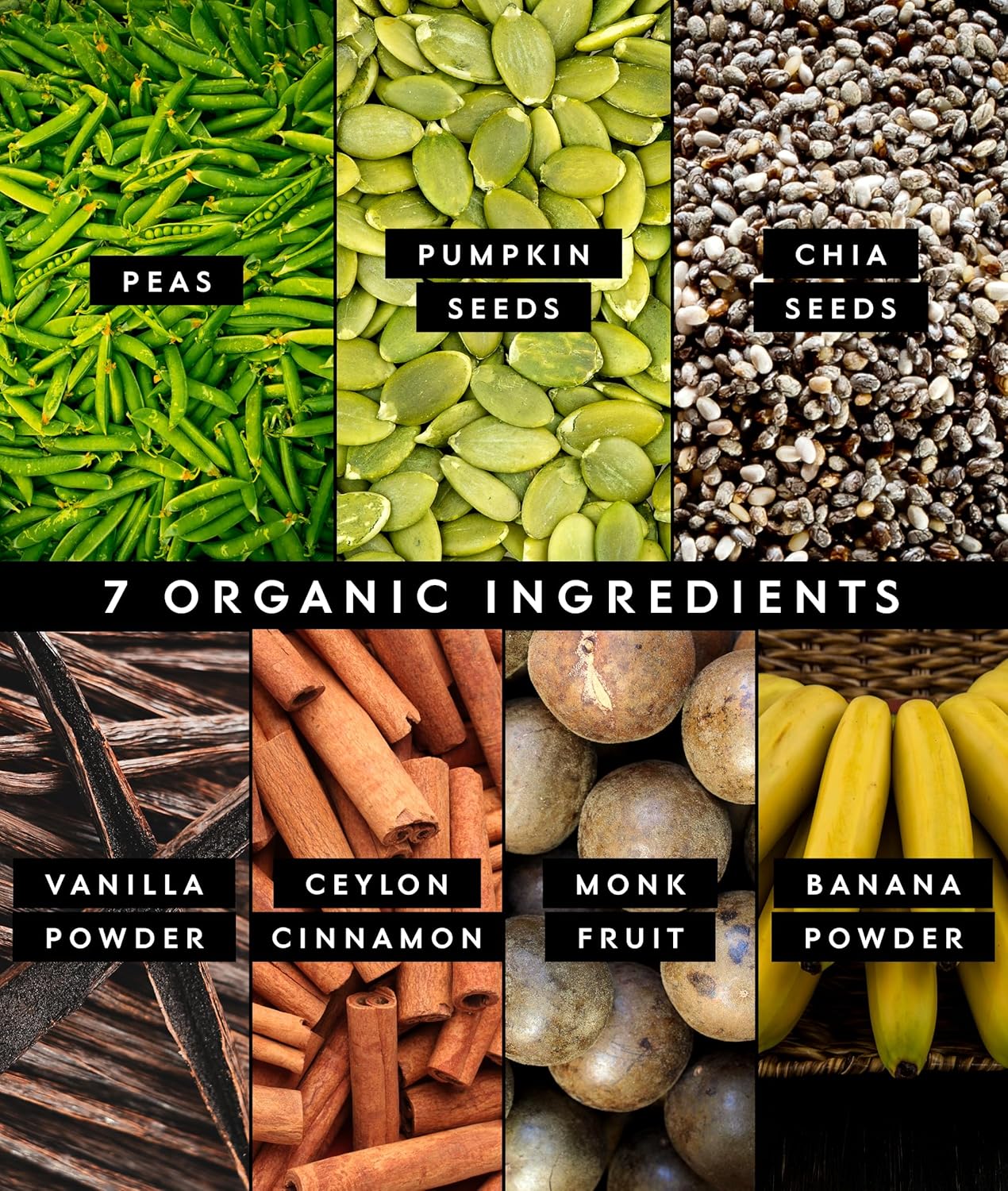 Truvani Organic Plant Based Protein Powder | Chocolate Peanut Butter